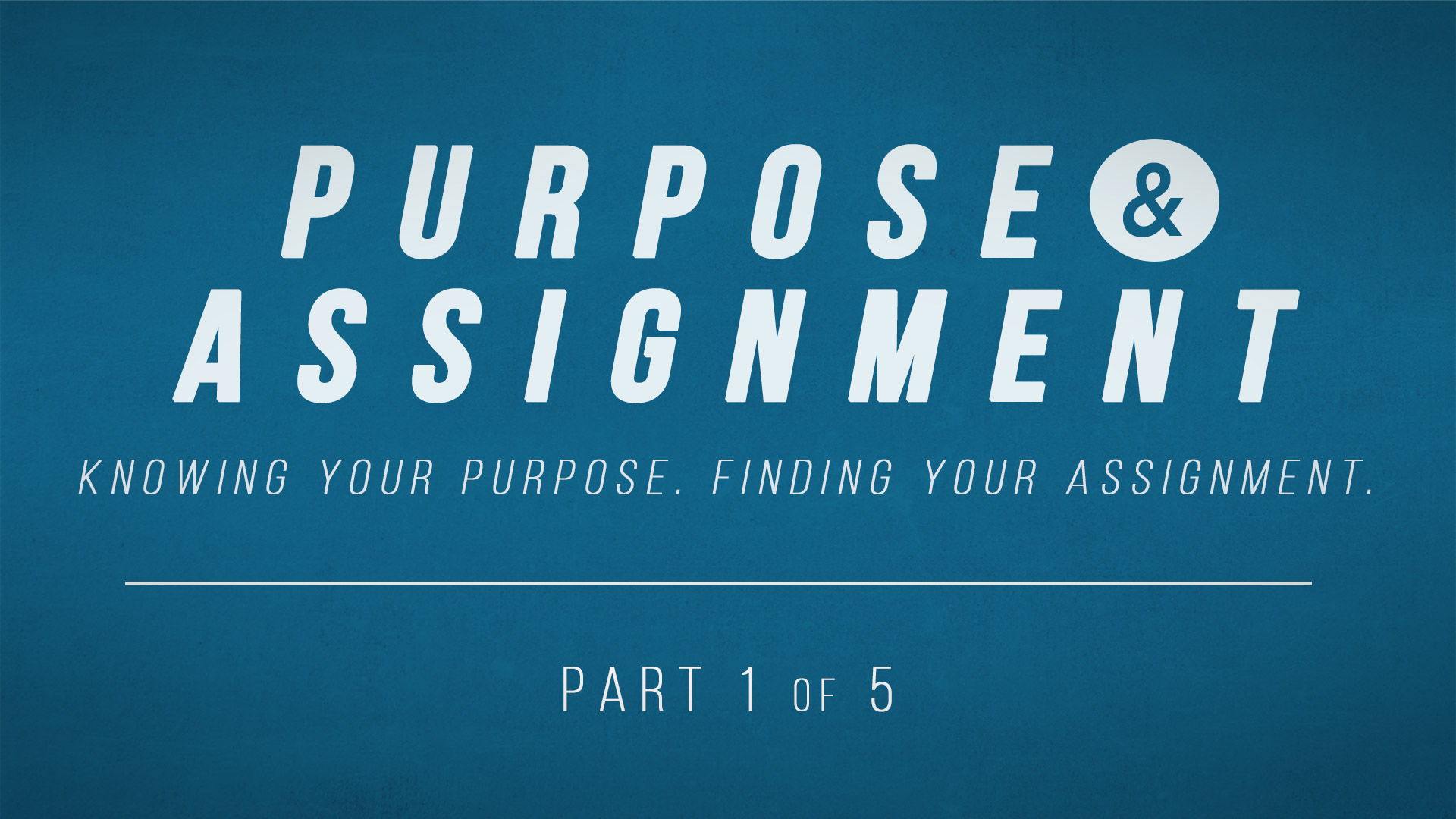 assignment definition and purpose